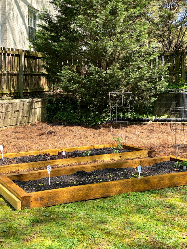 chatfieldcourt's tweet image. Build raised garden beds in under an hour with scrap wood! #flowerbed #freeproject chatfieldcourt.com/do-it-yourself…