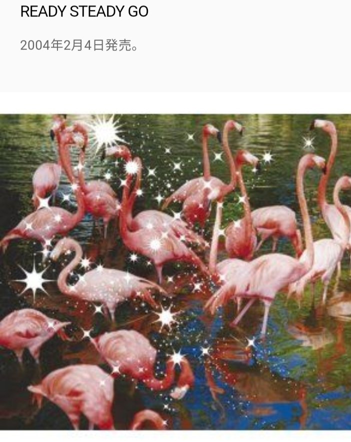 るるる 〜淡水エジソンパール フラミンゴピンク13㍉ピアスBL775 るるる