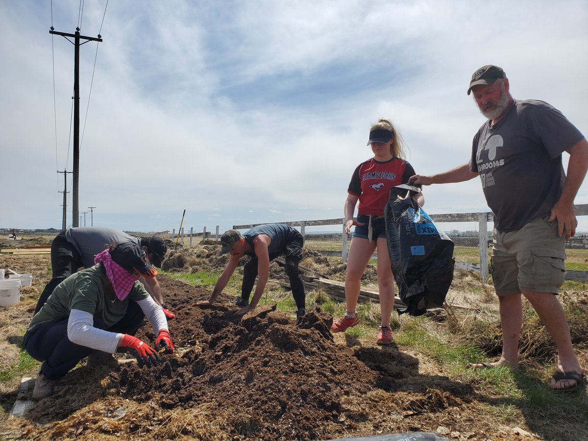 Thank you to the volunteers that came out today despite the weather!🌥️

Join our Small-Scale Agricultural Farm Management Certificate Program and get your hands dirty! For information on this program email volunteers@growcalgary.ca 

#yyc #urbanag #yeg