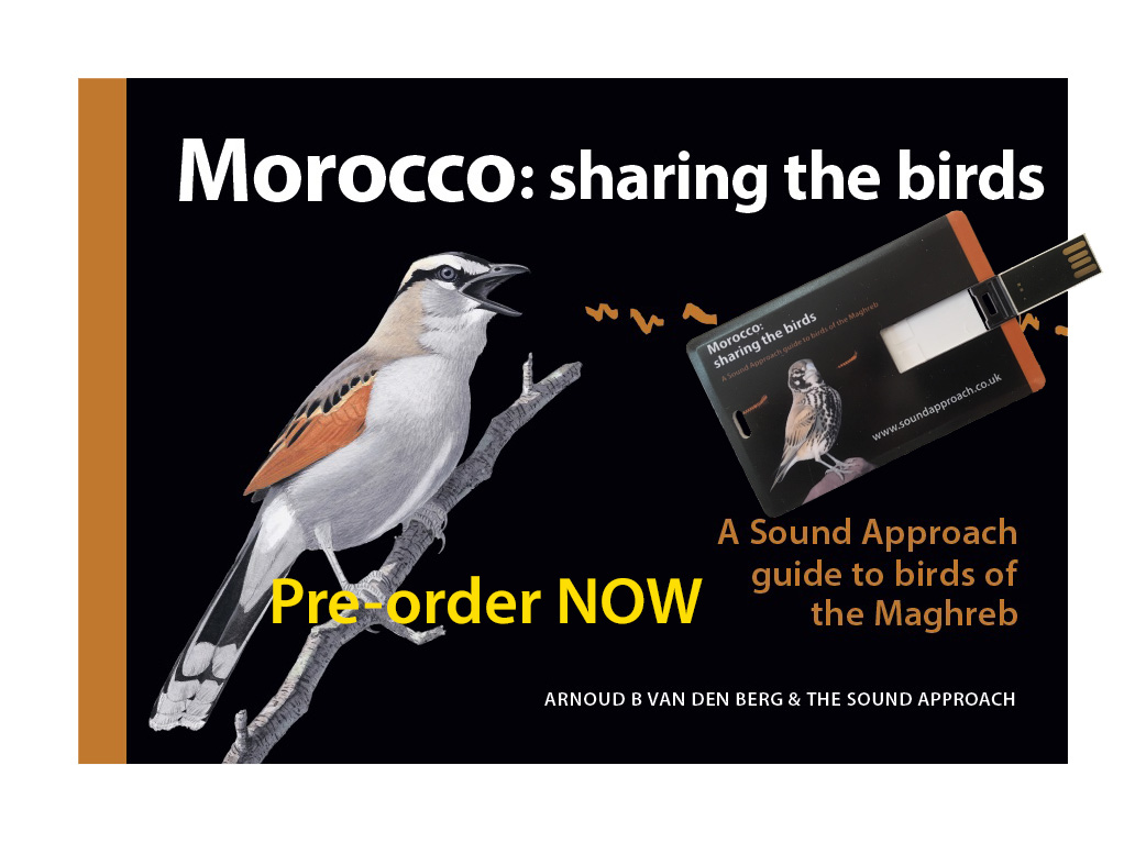 The Sound Approach tweet media