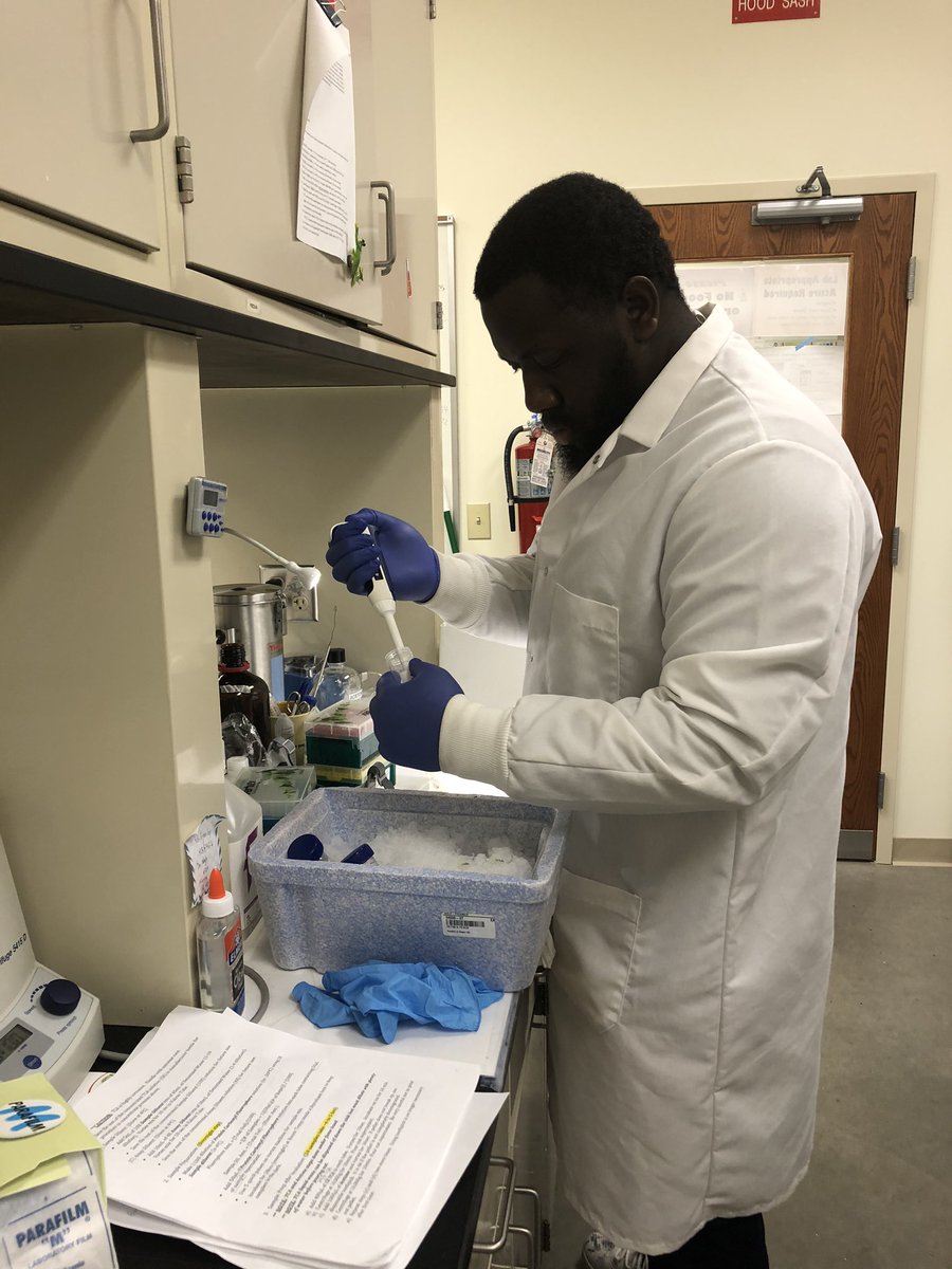 Dr. Hongmei Li-Byarlay @libyarlaybeedr.bsky.social tweet media