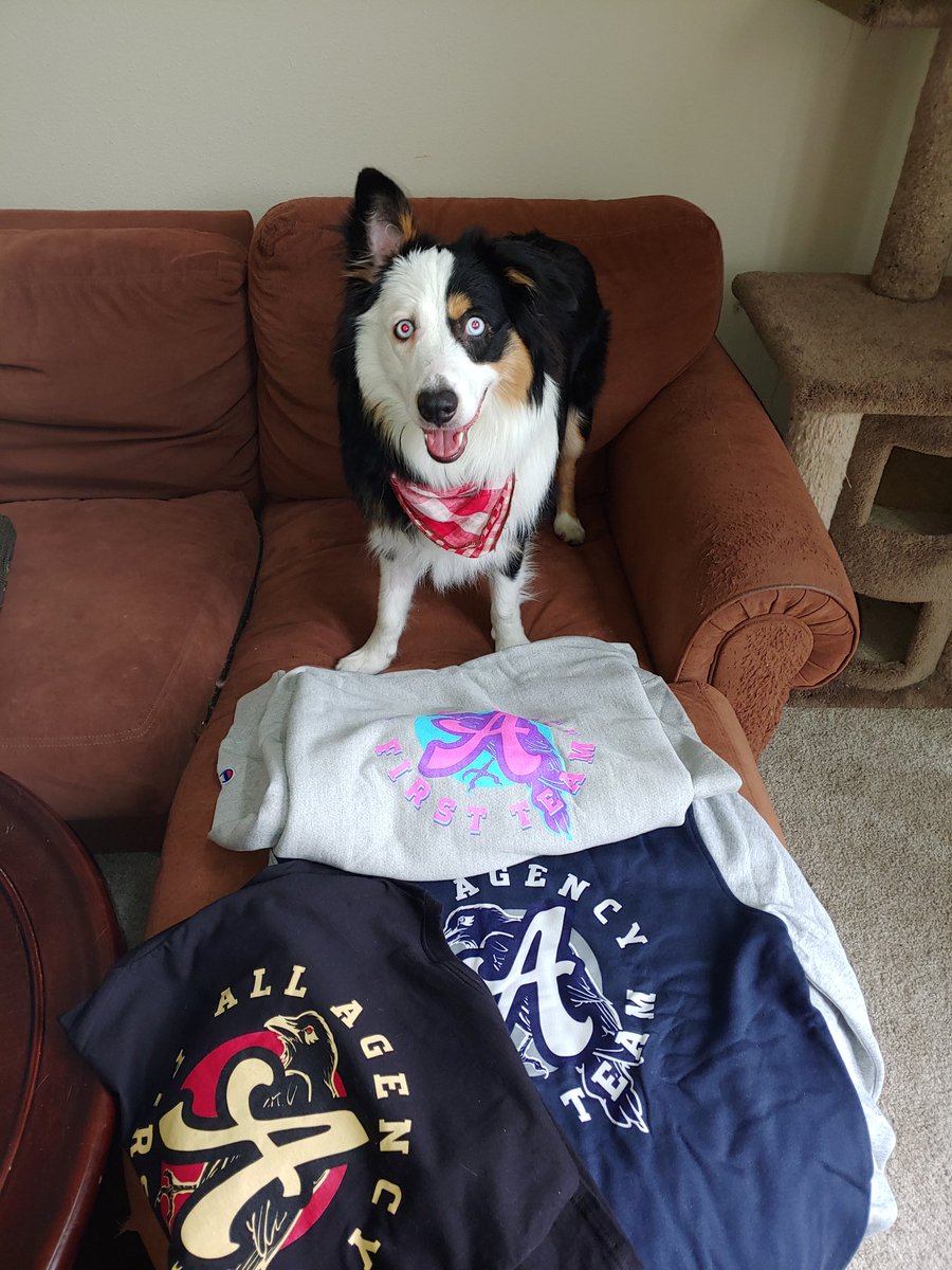 HaKaimera's tweet photo. Merch came in today - Winning pics go up tomorrow #YOUFLEXIFLEX https://t.co/QI39ChJt5M