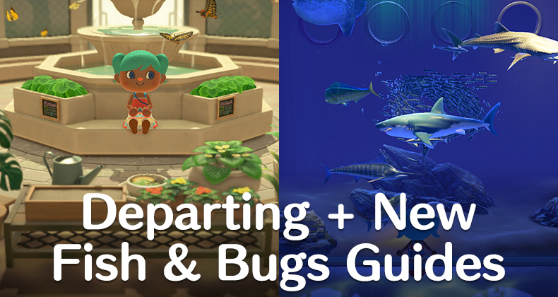 ACWorldBlog's tweet photo. Today is the last day to catch May Fish &amp; Bugs in Animal Crossing: New Horizons! 🎉 #ACNH

Leaving May Critters 👉 https://t.co/EB4lyuTu70
New June Critters 👉 https://t.co/fdLwmtetG6 https://t.co/hHRUY5zXMM