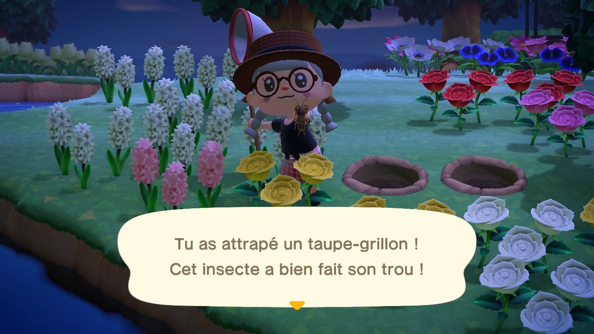 crossing_roro's tweet photo. je peux finir le mois de mai sans regrets #AnimalCrossing #ACNH #NintendoSwitch https://t.co/2ycua4da1x