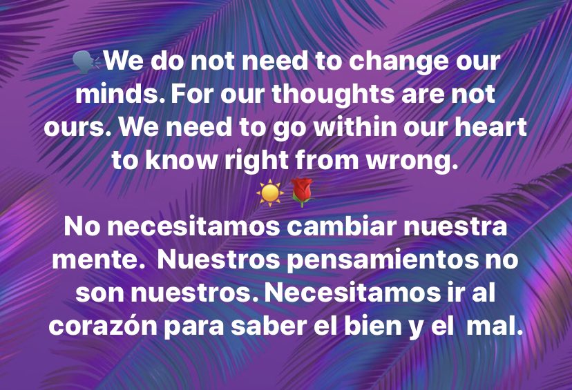 Reina Rodriguez (@reinathe7th) on Twitter photo 