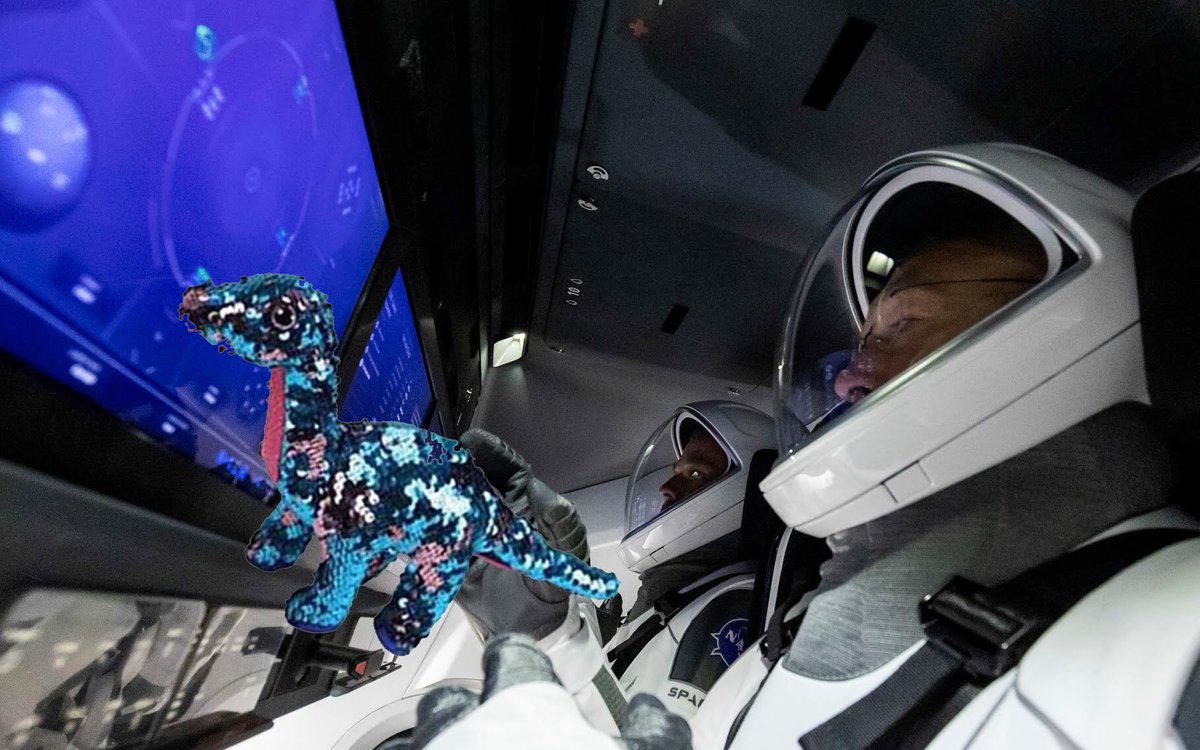 explorer_james's tweet photo. Tremor has the right idea...hide out on #CrewDragon until the policitcal dog &amp; pony show of a welcome ceremony wraps up. 🤦‍♂️ #SpaceX #ISS https://t.co/kAr8cUda78