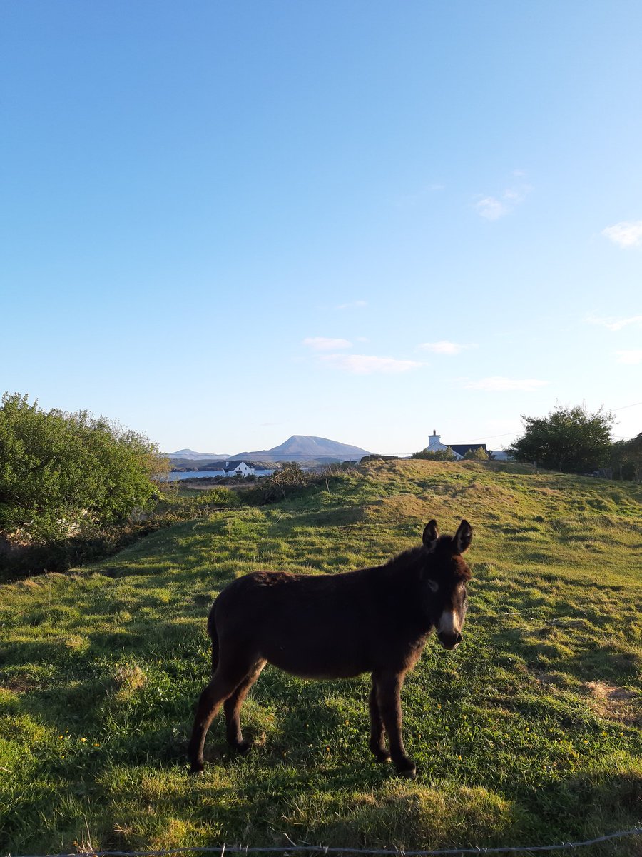 michaelcollinzz's tweet photo. It has long been my belief that there is nothing more glorious than Donegal in the month of May - something I'm now certain of after the past few weeks. https://t.co/n5NCIVUljP