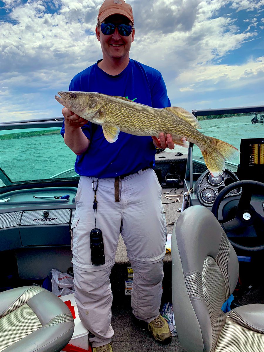 whitetail1979's tweet photo. A nice Nebraska walleye! https://t.co/9vPmgulVTJ