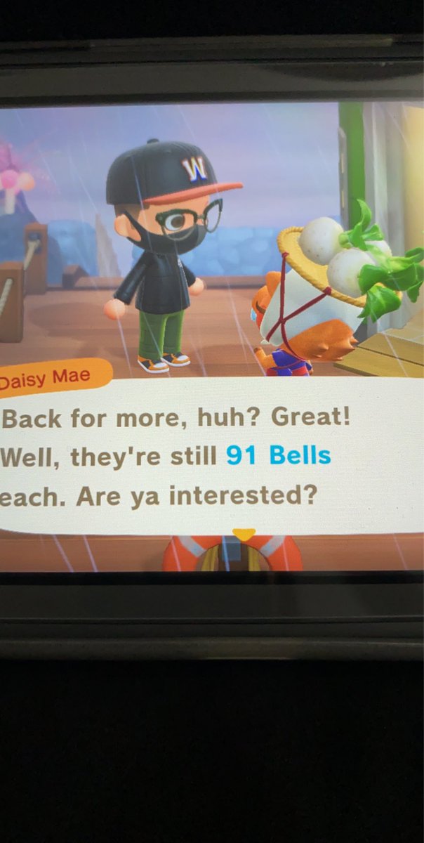 KnAcrossing's tweet photo. If anyone is interested in buying turnips!! They are selling for 91 bells please Dm for dodo code only letting 3 people at at time please be patient! :) tips not obligated but appreciated! #turnipprices #turnipexchange #dodocode https://t.co/n5SUG7py5S