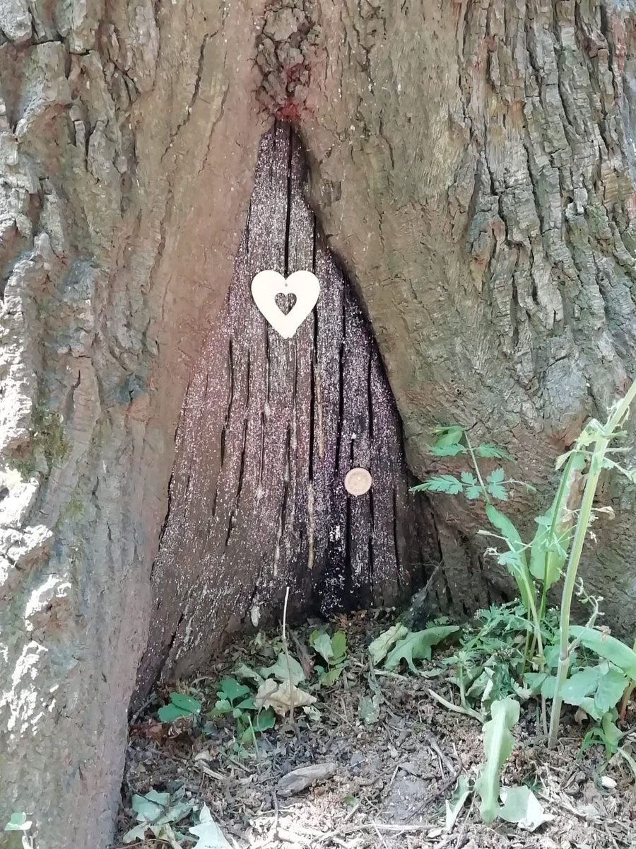 jo_cavanagh's tweet photo. Love this ♥️ on our regular walking route someone has been busy opening a whole new holiday resort  🌈
#rivacrevalley #fairydoor #elf #fairyhouse #magic #woodland #woodlandart #woodlandcreatures #fairyart #fairygarden https://t.co/iUPd5LcQIy