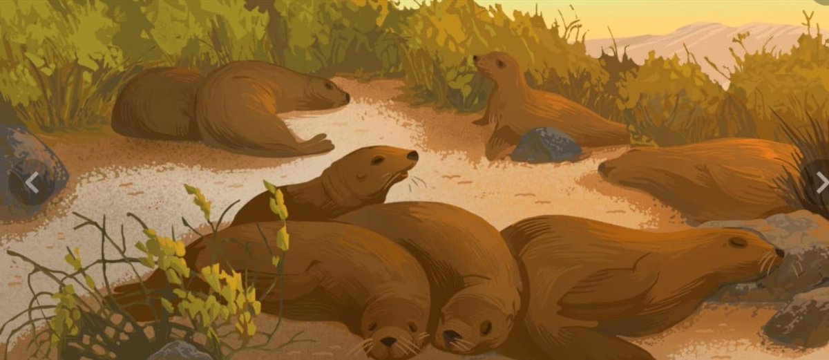 parquegalapagos's tweet photo. #Galápagos | ¡Felices de estar en los ojos del mundo!. El @GoogleDoodles hoy muestra ilustraciones de flora y fauna de nuestro archipiélago. Celebramos la vida de este hermoso lugar. Lee más en 👇 https://t.co/mC5PlbKqyn https://t.co/v1VjkV1KI0
