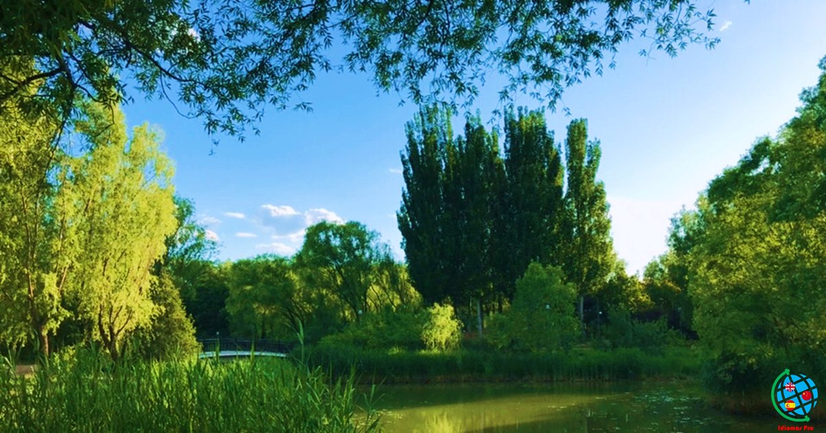 IdiomasPro1's tweet photo. 奥森公园
Les compartimos unas fotos del Parque Forestal Olímpico de Beijing, el cual fue construido en el año 2008 para celebrar las Olimpiadas de Beijing 2008.
--- Síganos en Instagram, Twitter y Facebook
👉 @idiomaspro1
#IdiomasPro #Sunday #Learnchinese https://t.co/PN6oiG5ttr