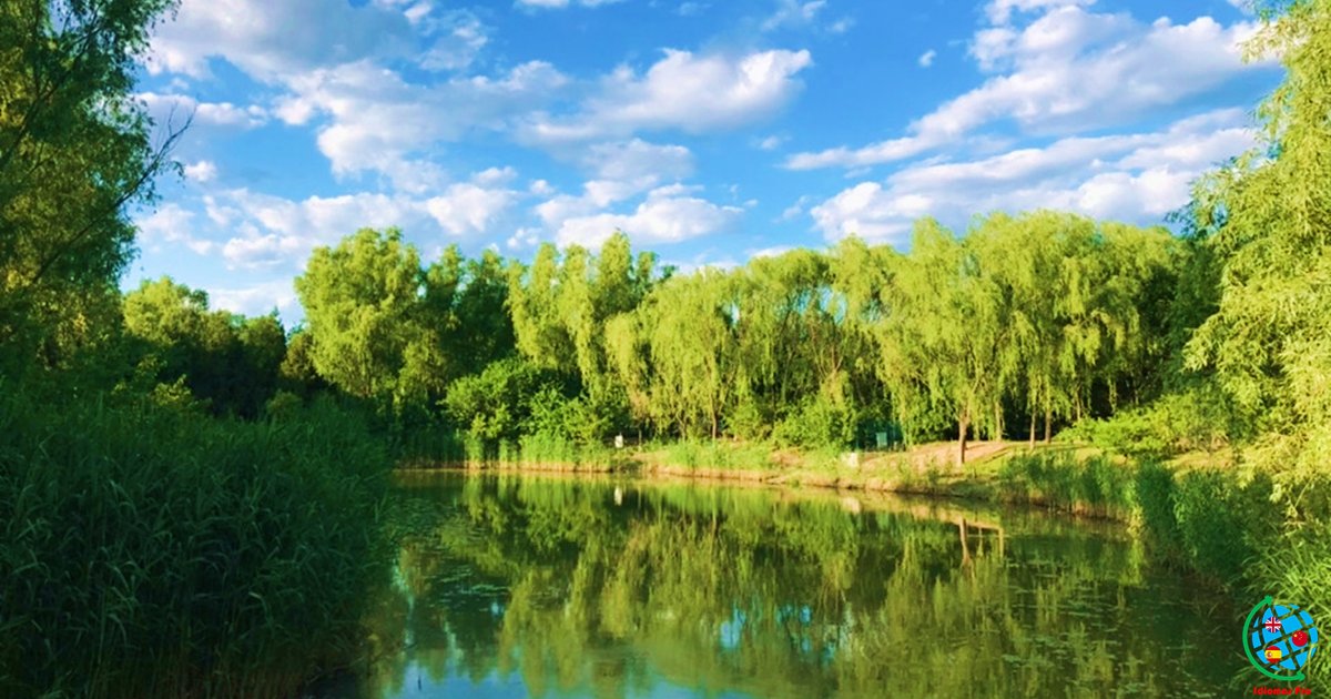 IdiomasPro1's tweet photo. 奥森公园
Les compartimos unas fotos del Parque Forestal Olímpico de Beijing, el cual fue construido en el año 2008 para celebrar las Olimpiadas de Beijing 2008.
--- Síganos en Instagram, Twitter y Facebook
👉 @idiomaspro1
#IdiomasPro #Sunday #Learnchinese https://t.co/PN6oiG5ttr