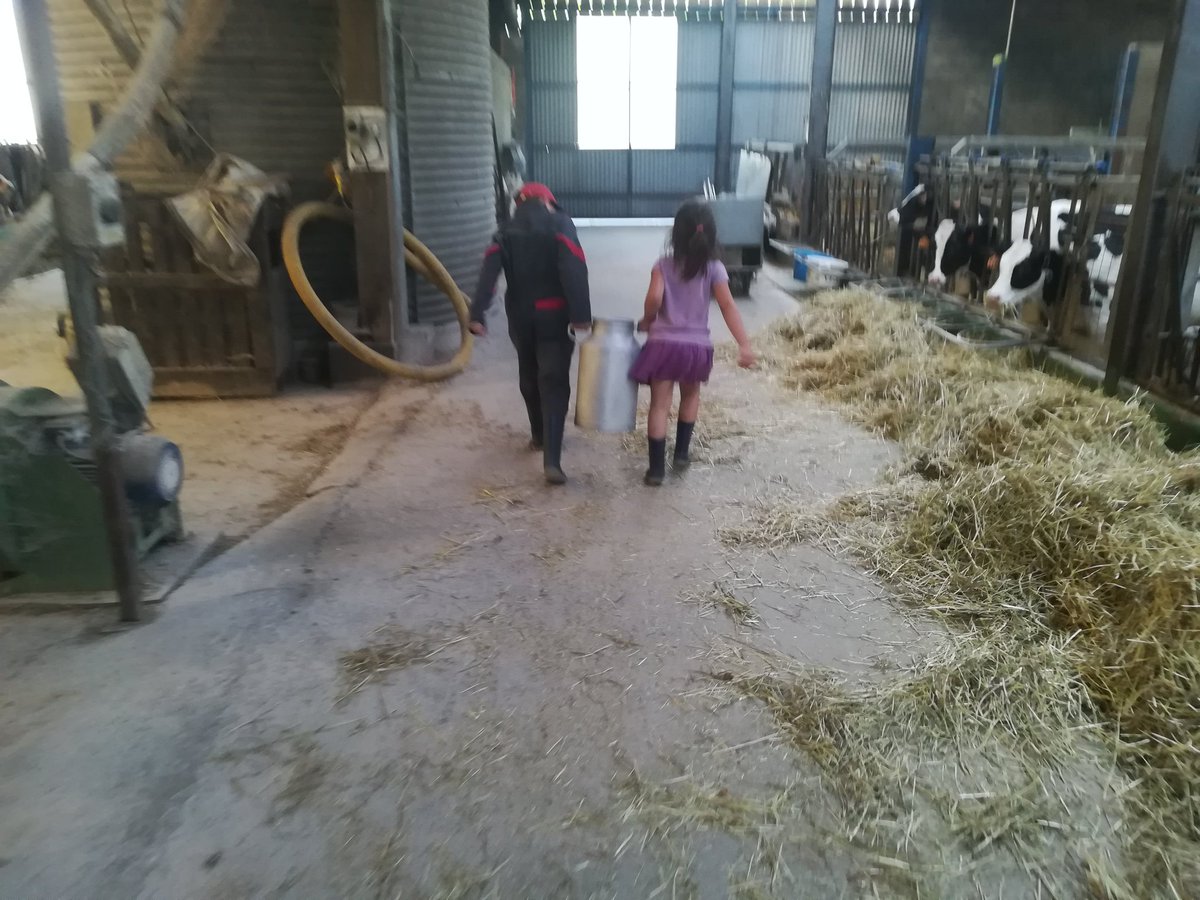 TBaumard's tweet photo. Quand tes enfants veulent aider. Résultat 😍🚸👍#producteurdelait #ja49 #fièredetrepapa https://t.co/hzGn6Cm0vd