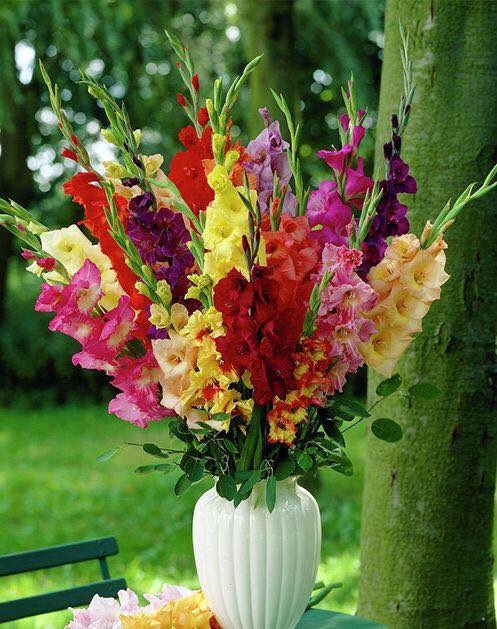 lm_adem's tweet image. #Bazen dokunamadığın, sarılamadığın ve hiç koklayamadığın birine hasret kalıyorsun..!
#Bazen mi #dedim..?
Çoğu zaman aslında...!!!🤗🤗