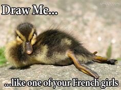DownieDucklings's tweet photo. Anyone else feeling a little quackers? #flockshock #laughteristhebestmedicine #downiesducklings #quackingup https://t.co/YnYnmVFldb