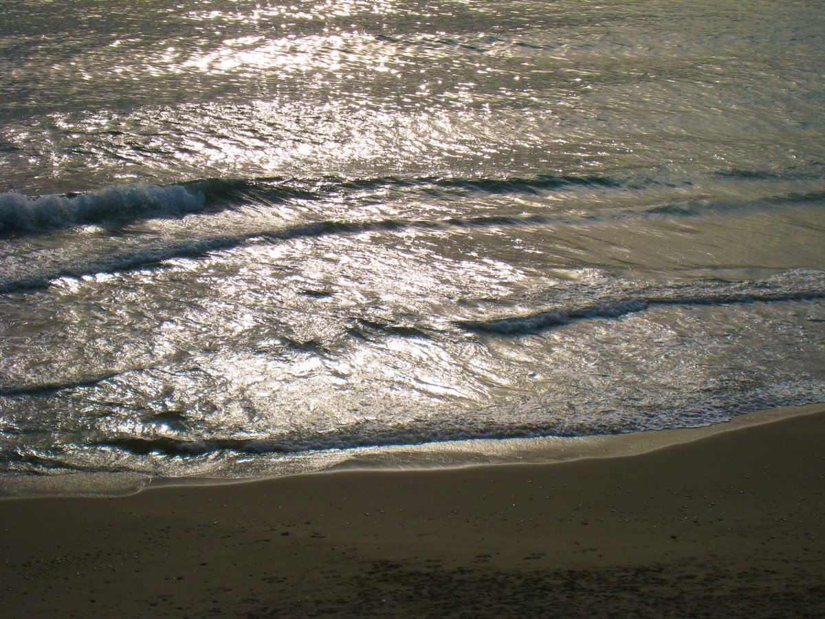 MaricaGusmitta's tweet image. Sognando un giorno di poter riaccarezzare la morbida sabbia, di poter avvolgermi nuovamente nell&apos;abbraccio del quieto mare, mi tuffo nei ricordi cari
  
Buonanotte

#PoesiePerLaSera 

#VentagliDiParole 

📷 mia