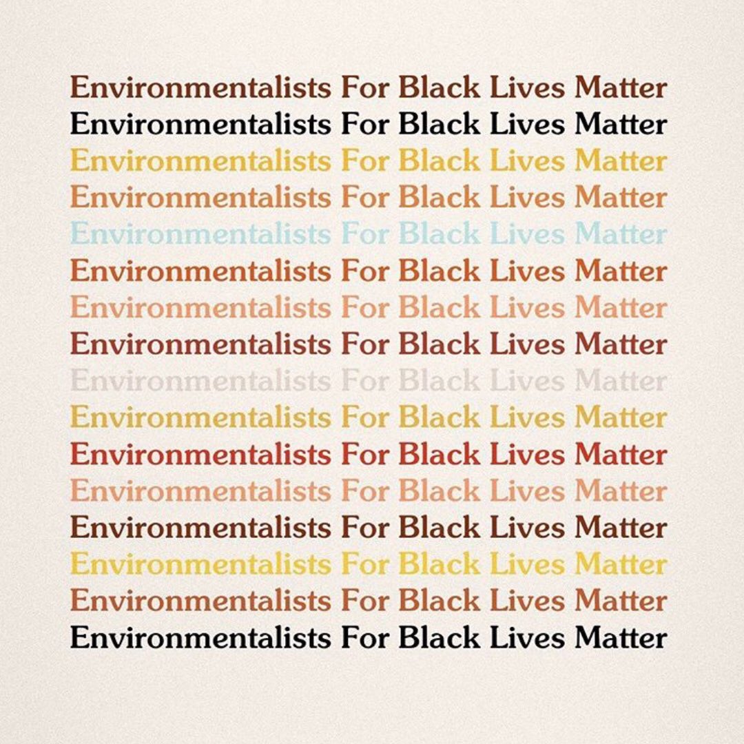 for anyone who wants to know more about intersectional environmentalism 🌻 credit: instagram.com/greengirlleah