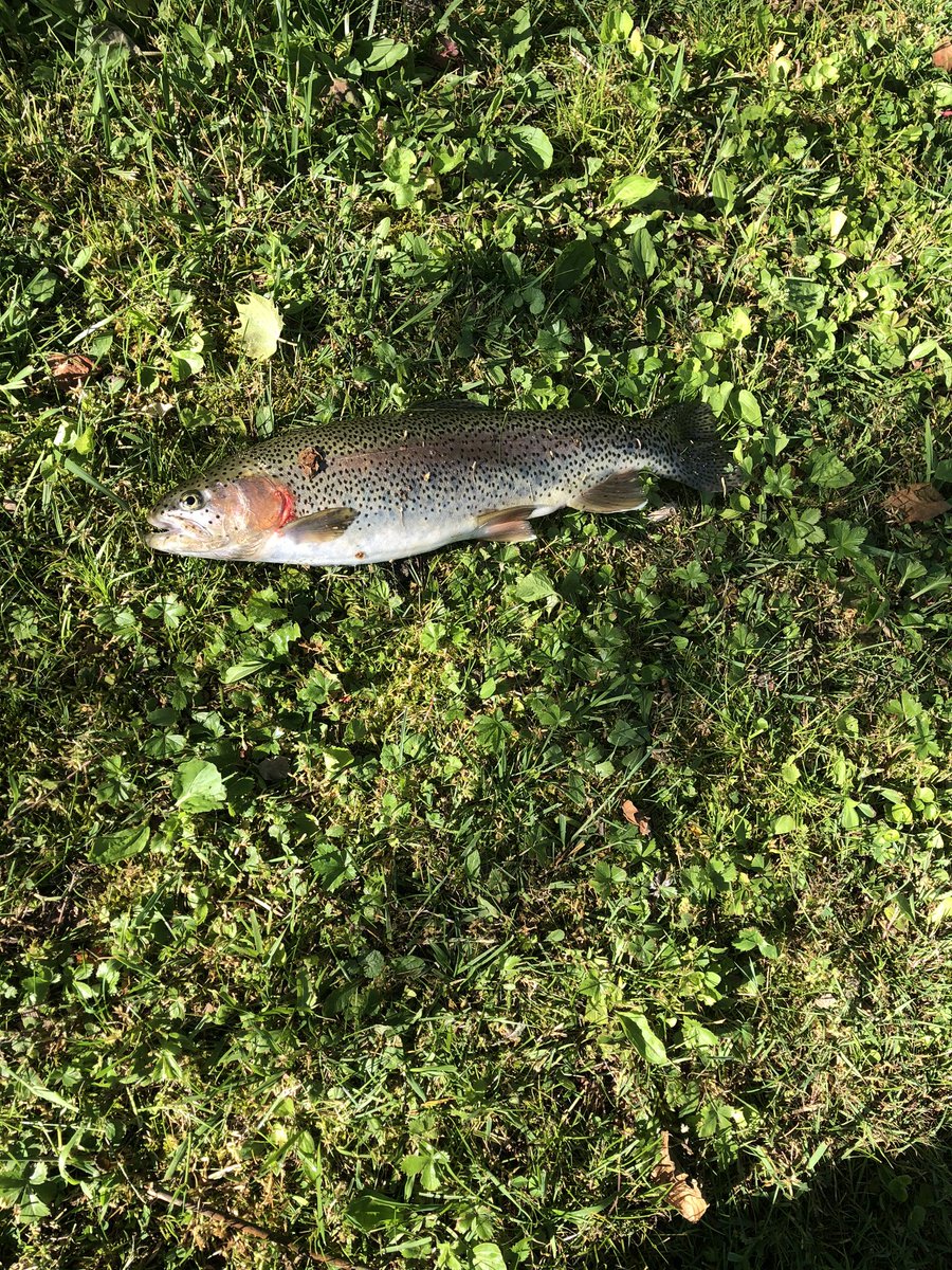 Great day for fishing .. Ava caught 2 nice ones ... she loves fishing .. so far this year she’s caught 10!