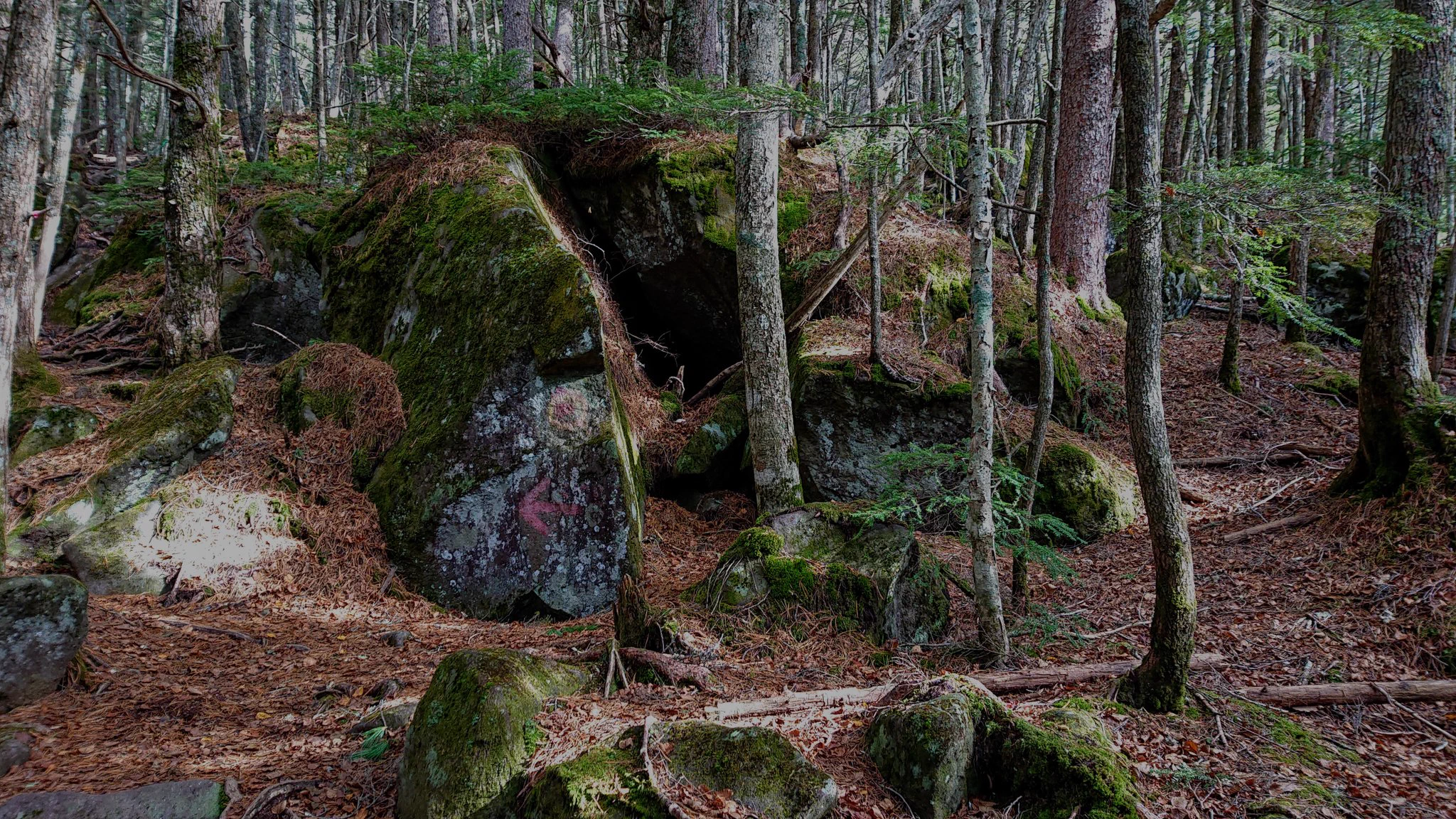 @DugongY 前の写真ですが右から来て右奥へ少し行ったら道がなく5分位探す。 実は岩の左から回るのが正解でした、よく見りゃ矢印もリボンもあるのに道の先だけ見てたり思い込みすると怖いですね😥 