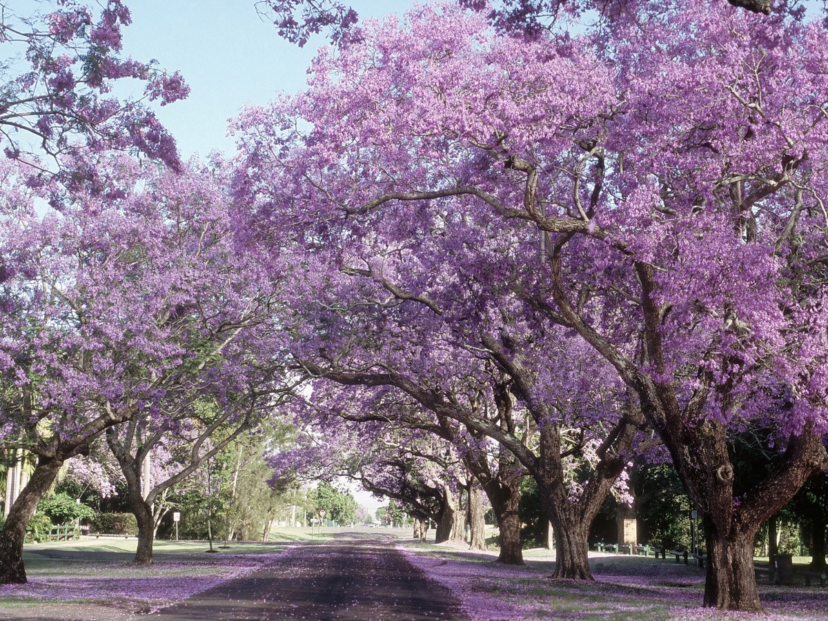 مشاريع السعودية tweet media