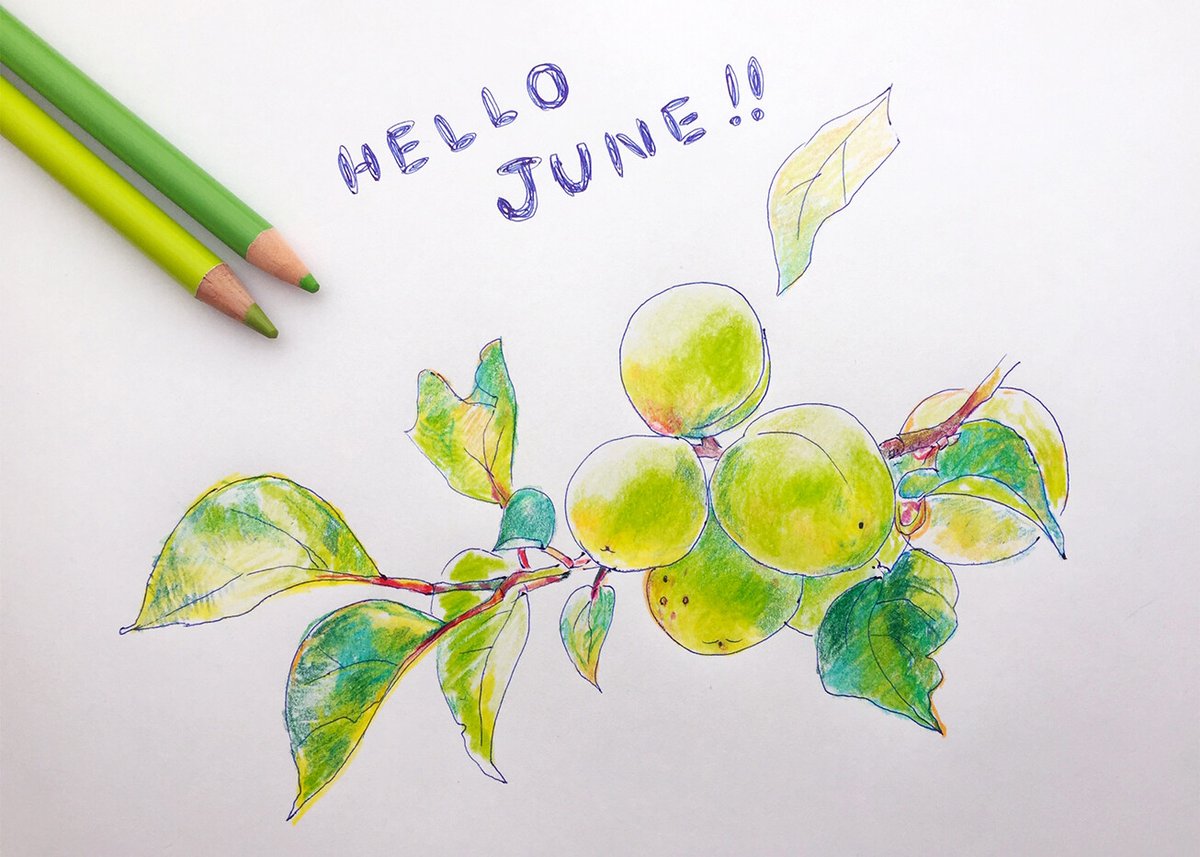 Uni 三菱鉛筆 公式 Hello June 文具 文具好きさんと繋がりたい イラスト好きさんと繋がりたい 水彩色鉛筆 色鉛筆画 三菱鉛筆 Uni T Co A8nk2hux9s Twitter