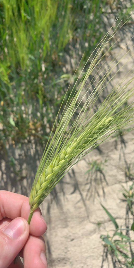 Impressive considering the year we’ve had👍🏻