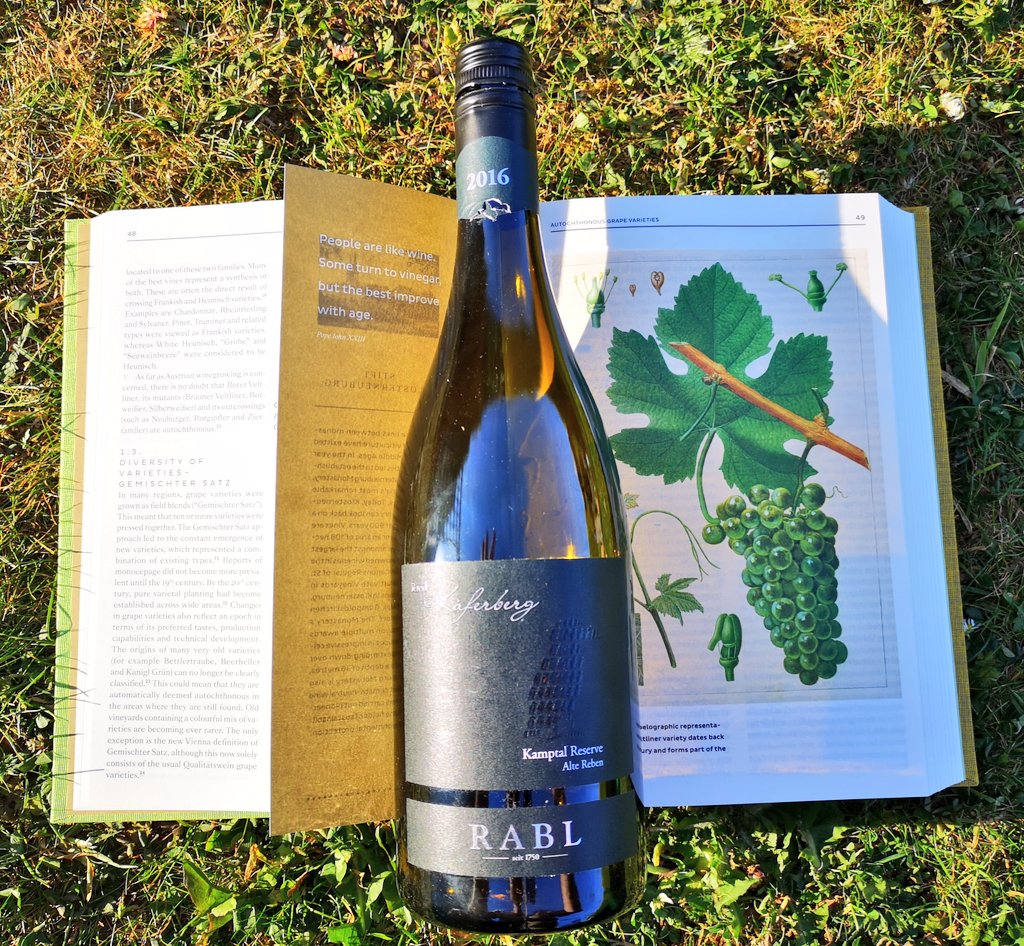 This time last year I was in Austria 🇦🇹 for the #WineSummit, so good time to get around to opening this book: riveting, beautiful and long- just like this #Rabl Single Vineyard Grüner from @OBriensWine! 😉 
To all at the Austrian Wine Board- stay safe and hopefully see you soon.