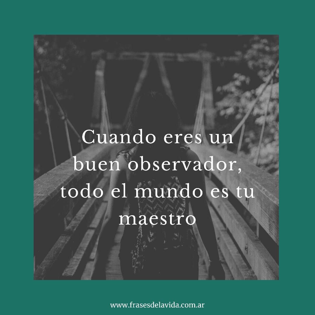 توییتر \ Frases de la Vida در توییتر: «Cuando eres un buen observador todo  el #Mundo es tu maestro /7nKB33Perg #Citas #Frasedeldia #Frases  #Frasesdelavida #Frasesdereflexion #Quotes #Reflexión  /3kcBozW7rX»