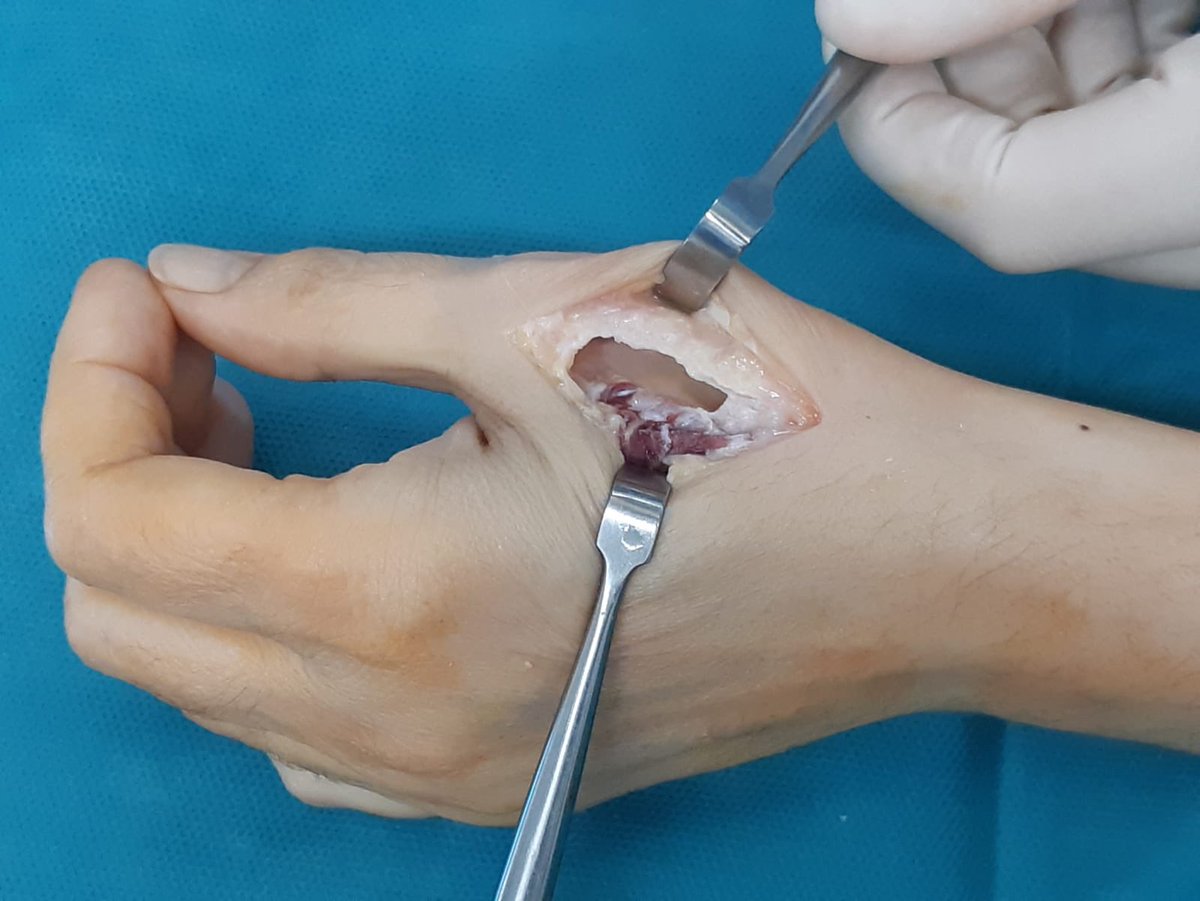 Dr. Sergi Barrera tweet media