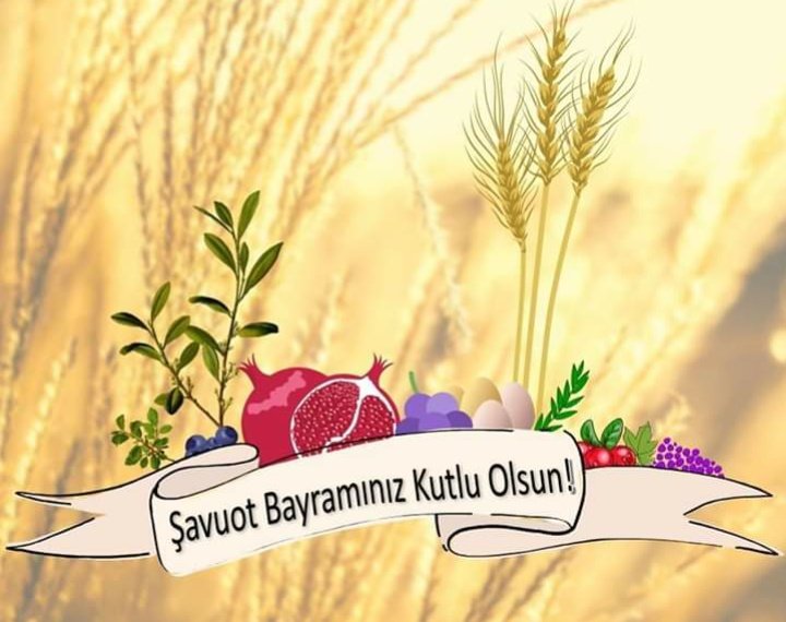 toplumvetarih's tweet image. Bayramlarında "tahıl" ve "meyve" yi birlikte kullanan
#İsrail
#Samiri
#Dürzi
#Sabii kökenli toplulukların
hem #İnsanTanrı sınıflaması içinde olduklarını görüyoruz;

hem de, binlerce yıl önce kendilerine verilen  #Yiyecek çizelgesine sadakatlerini izliyoruz.