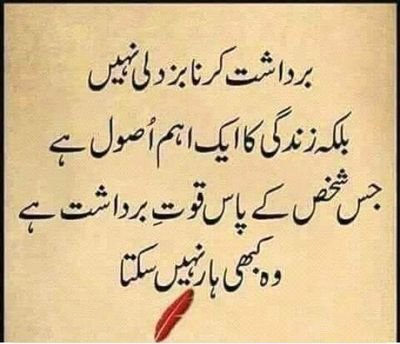 Ali42092288's tweet photo. @_Mehwish_Butt @SassuiZafar Do number domiciles sindh me band karo bahar k logo ko yaha nokrya mat do https://t.co/pZWL330F4H