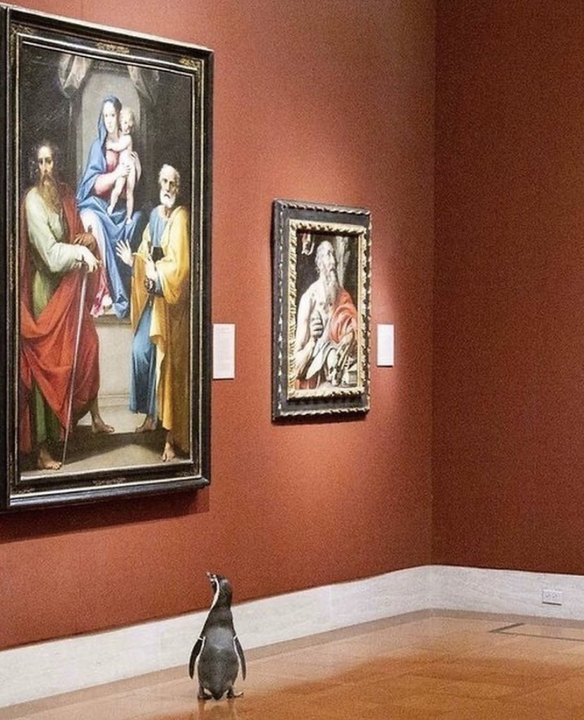 person (@joeidc) on Twitter photo 