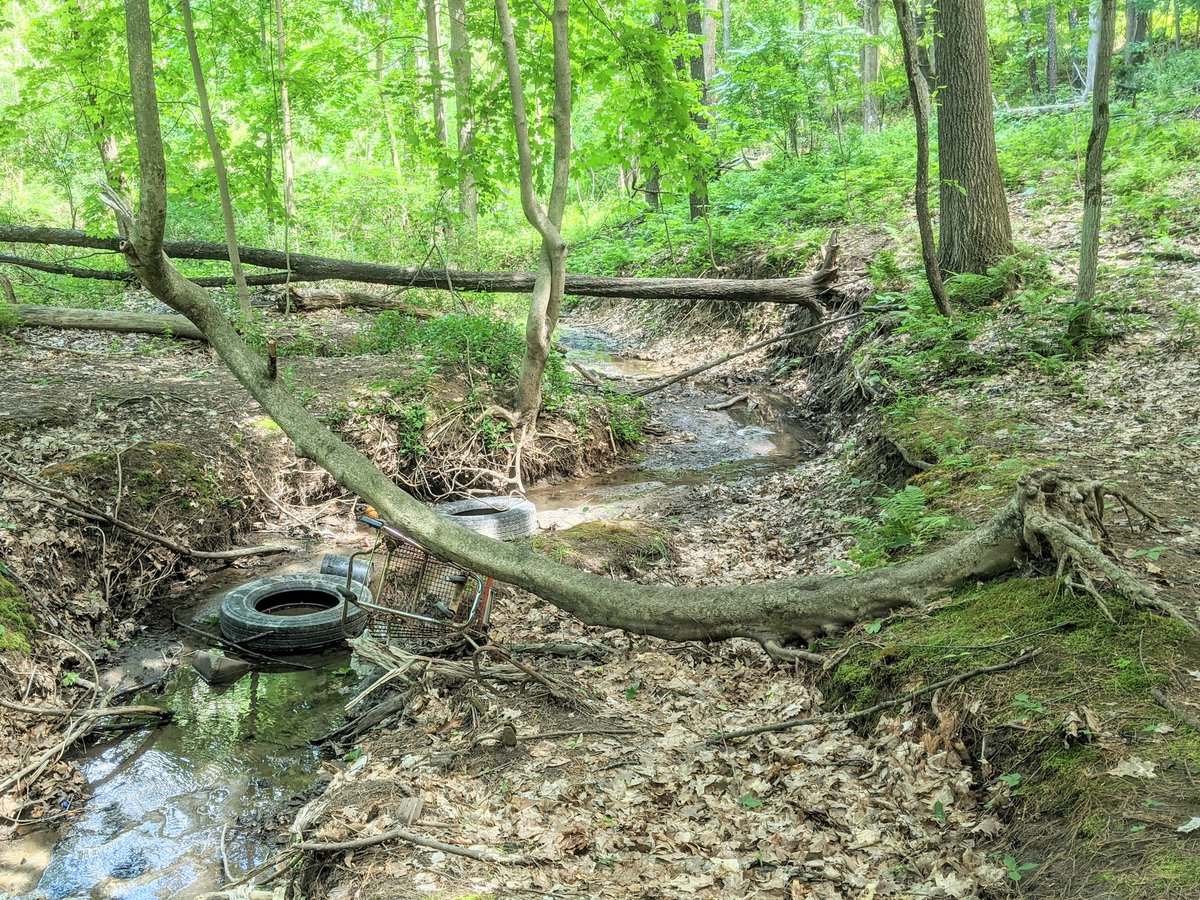 You know the meme, about returning the shopping cart or not? What if there were a third option: plunging it into the creek.