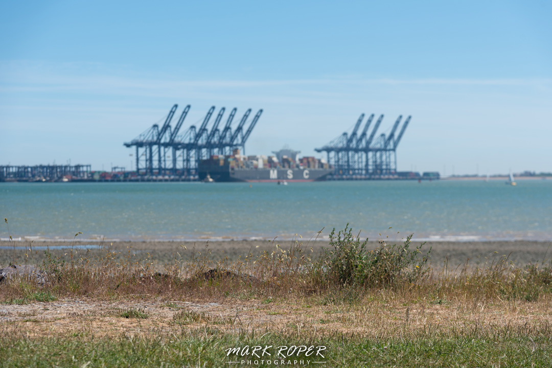Beautiful colours in the sea and sky today whilst exploring Shotley Gate. #visitsuffolk #suffolkcoast #shotley #shotleygate #shotleypoint #wexphoto #eastanglia #focus #river #sea #port #felixstowe #cranes #orwell #summer #suffolk #grass #msc #shipping #boats #blue #wexmondays