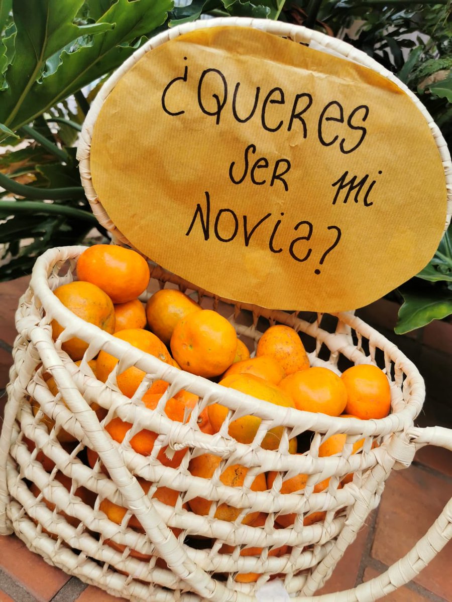 ever103's tweet image. Me dijo que Si 🥺❤