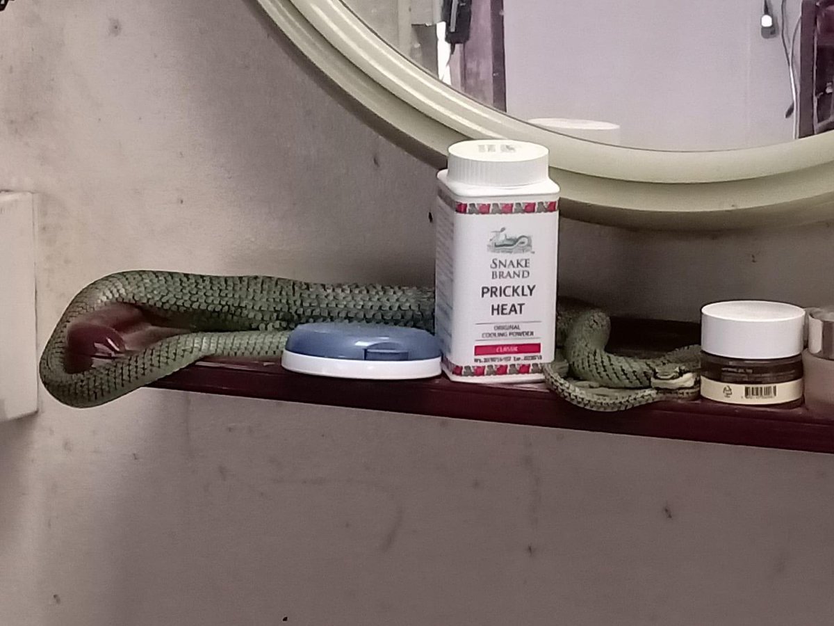 ดีใจได้เห็นหน้าพรีเซนเตอร์แล้ว