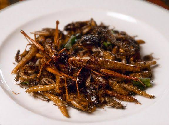 Itzrealmubarak's tweet photo. Either stop them by eating our food or make locusts as our food!. Anyways its looking tasty. #Locustsattack #Locust #locustfood #pandemic #foodie #saveourcrops #saveindia #AmphanSuperCyclone https://t.co/WGmhS0Lr7Z