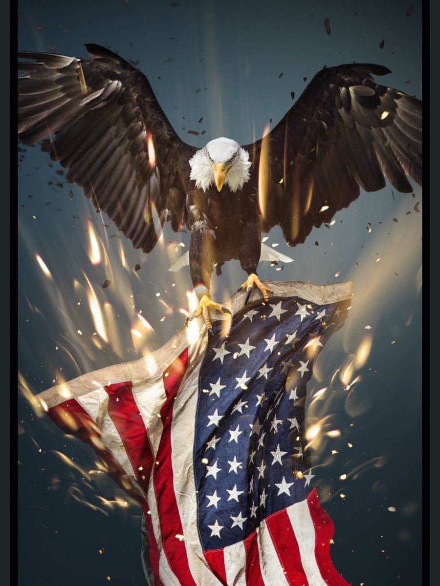 Scobra642's tweet image. 🇺🇸Presidential Express #45🇺🇸

🇺🇸God Bless the USA🇺🇸 

🇺🇸💯Calling All #Veterans~#Patriots🇺🇸

🇺🇸Retweet 
🇺🇸Reply~Add handle
🇺🇸Please Follow~@Shelbycobra642 @SusanIverach @KarenLadybug1 @deplorable_rube @444F18 @pjbowles4 
🇺🇸Bookmark~Return~Follow

🦅🦅AMERICA THE BEAUTIFUL🦅🦅