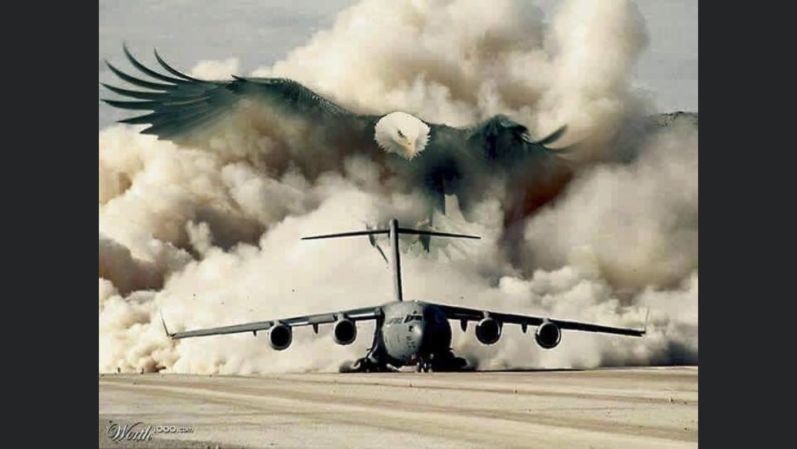 Scobra642's tweet image. 🇺🇸Presidential Express #45🇺🇸

🇺🇸God Bless the USA🇺🇸 

🇺🇸💯Calling All #Veterans~#Patriots🇺🇸

🇺🇸Retweet 
🇺🇸Reply~Add handle
🇺🇸Please Follow~@Shelbycobra642 @SusanIverach @KarenLadybug1 @deplorable_rube @444F18 @pjbowles4 
🇺🇸Bookmark~Return~Follow

🦅🦅AMERICA THE BEAUTIFUL🦅🦅