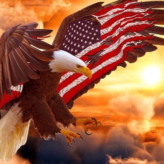 Scobra642's tweet image. 🇺🇸Presidential Express #45🇺🇸

🇺🇸God Bless the USA🇺🇸 

🇺🇸💯Calling All #Veterans~#Patriots🇺🇸

🇺🇸Retweet 
🇺🇸Reply~Add handle
🇺🇸Please Follow~@Shelbycobra642 @SusanIverach @KarenLadybug1 @deplorable_rube @444F18 @pjbowles4 
🇺🇸Bookmark~Return~Follow

🦅🦅AMERICA THE BEAUTIFUL🦅🦅