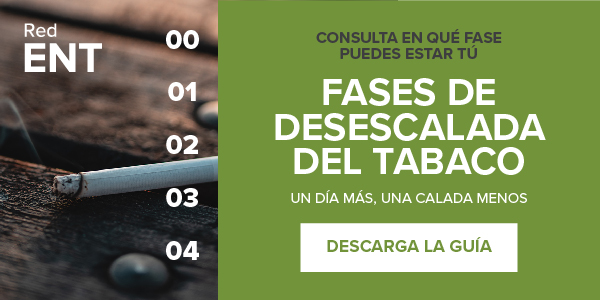 ContraCancerEs's tweet photo. Descubre las fases de la desescalada del tabaco en esta guía https://t.co/B2GKd2NOoC   #DíaMundialSinTabaco #RedENT https://t.co/pMggDiP7he