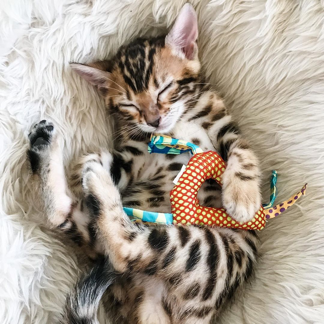 <a href="/F4FFacilitator/">#F4F Facilitator loves #ieFun #MGWV #1DDRIVE #IFB</a> <a href="/Thelkhyarakhetl/">🎀•°• ✾ •°•Ⓣⓗⓔⓛ•°• ✾ •°•🎀</a> <a href="/PNFgr/">RebelEchoes</a> <a href="/lovecelticwoman/">Criostoir #1DDRIVE ChrisB 49K #Livegood Briartach</a> @McKinnonPhD <a href="/Stallion_Team2/">Frankie</a> <a href="/MarEthr/">👉 Mark 28K 😜👇</a> <a href="/ginestarros/">SuperGina♥️💚♥️</a> <a href="/seaweed115B/">🌸🍃♡éclare 🍃🌸MGWV</a> <a href="/melo_zeno/">♊️🇧🇷Z€NO🇧🇷♊️</a> <a href="/ME_1b/">MarkE</a> <a href="/Aluddin19/">Aluddin19</a> @Omo_Alufa_ @iLLmatic_02 <a href="/izakira3/">¨°º¤ø„¸☆❤️IZA❤️☆¸„ø¤º°¨</a> @Trudynel1 <a href="/HansSooraj/">Sooraj Hans</a> <a href="/IFBF4F/">Automated #FollowHELP #1DDrive #MGWV #1FIRST #IFB</a> FOLLOWING EVERYONE HERE, AS RECOMMENDED:
<a href="/PNFgr/">RebelEchoes</a>
<a href="/lovecelticwoman/">Criostoir #1DDRIVE ChrisB 49K #Livegood Briartach</a>
<a href="/Thelkhyarakhetl/">🎀•°• ✾ •°•Ⓣⓗⓔⓛ•°• ✾ •°•🎀</a>
@McKinnonPhD
<a href="/Stallion_Team2/">Frankie</a>
<a href="/MarEthr/">👉 Mark 28K 😜👇</a>
<a href="/ginestarros/">SuperGina♥️💚♥️</a>
<a href="/seaweed115B/">🌸🍃♡éclare 🍃🌸MGWV</a>
<a href="/melo_zeno/">♊️🇧🇷Z€NO🇧🇷♊️</a>
<a href="/ME_1b/">MarkE</a>
<a href="/Aluddin19/">Aluddin19</a>
@Omo_Alufa_
@iLLmatic_02
<a href="/izakira3/">¨°º¤ø„¸☆❤️IZA❤️☆¸„ø¤º°¨</a>
@Trudynel1
<a href="/HansSooraj/">Sooraj Hans</a>
<a href="/khalidaajzi/">🌿khalidaajzi🌿#AajziGain🌿</a> 
👍❤️😉
<a href="/F4FFacilitator/">#F4F Facilitator loves #ieFun #MGWV #1DDRIVE #IFB</a> 
<a href="/IFBF4F/">Automated #FollowHELP #1DDrive #MGWV #1FIRST #IFB</a>