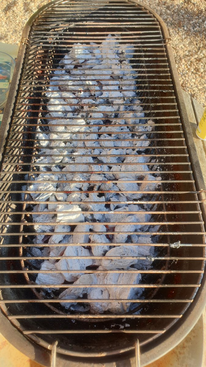 sunkfarmer's tweet photo. Nothing beats a good bbq, we can conjure up something from nothing quite easily.. both carnivore and vegetarian and so simple #cookingfarmer #cheers #alfresco #sunkisland @settergirl14 and our #critters https://t.co/kGHTgGxOBd