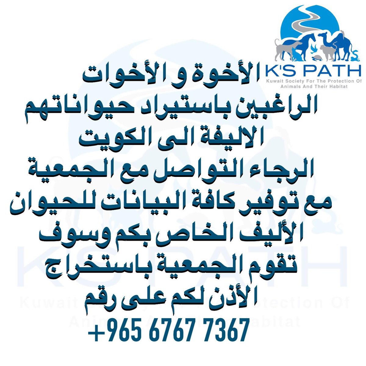 kspathq8's tweet photo. كل الشكر لمن اجتهد لمساعدتة المواطنين الذين لديهم حيوانات خارج البلاد لاستيرادها و نخص بالشكر الهيئه العامه للزراعة و الثروة السمكيه و السيد وليد العود مدير ادارة الصحة الحيوانية على جهودهم بالسماح لابنائهم باستيراد حيواناتهم الأليفة للبلاد . https://t.co/HNhVkuueNX