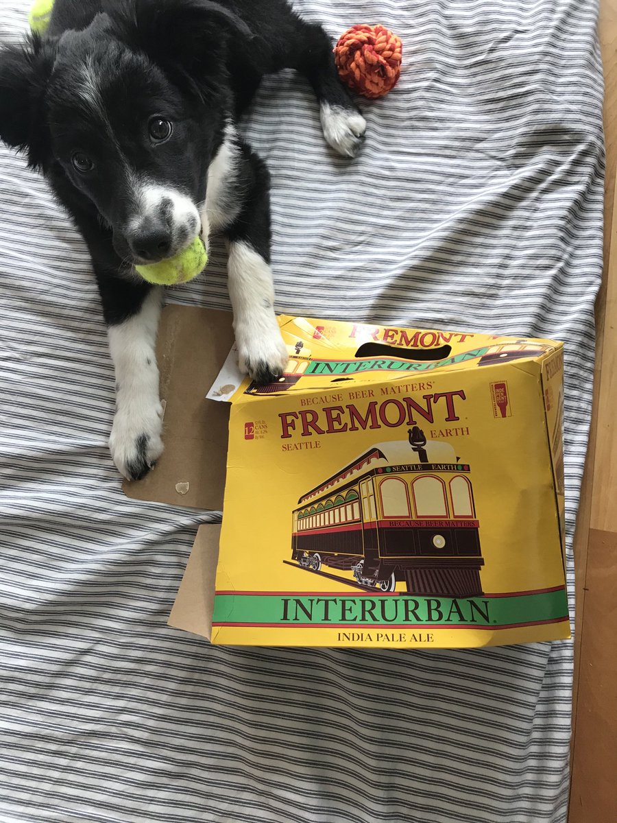 powellplonski's tweet photo. Grace’s favorite things (mom & dad too!) #yellowcan @fremontbrewing https://t.co/JbkVmAdlPz