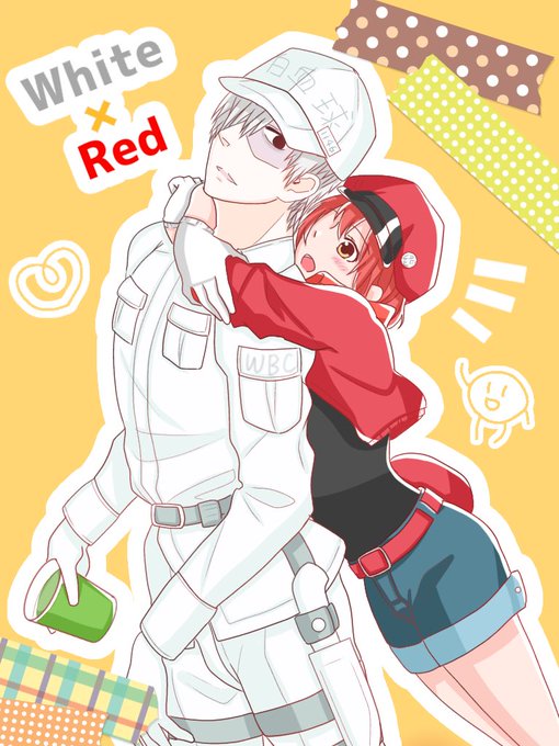 Doujinshi - Cells at Work! / Red Blood Cell (AE3803) & White Blood Cell  (恋する細胞) / KF