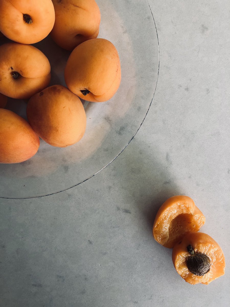CTarantino8's tweet photo. Check out my nutrition instagram page @saltandpeppr for nutrition tips, recipes, and aesthetically pleasing food pics 🍴 https://t.co/qKq9lu6hJ1