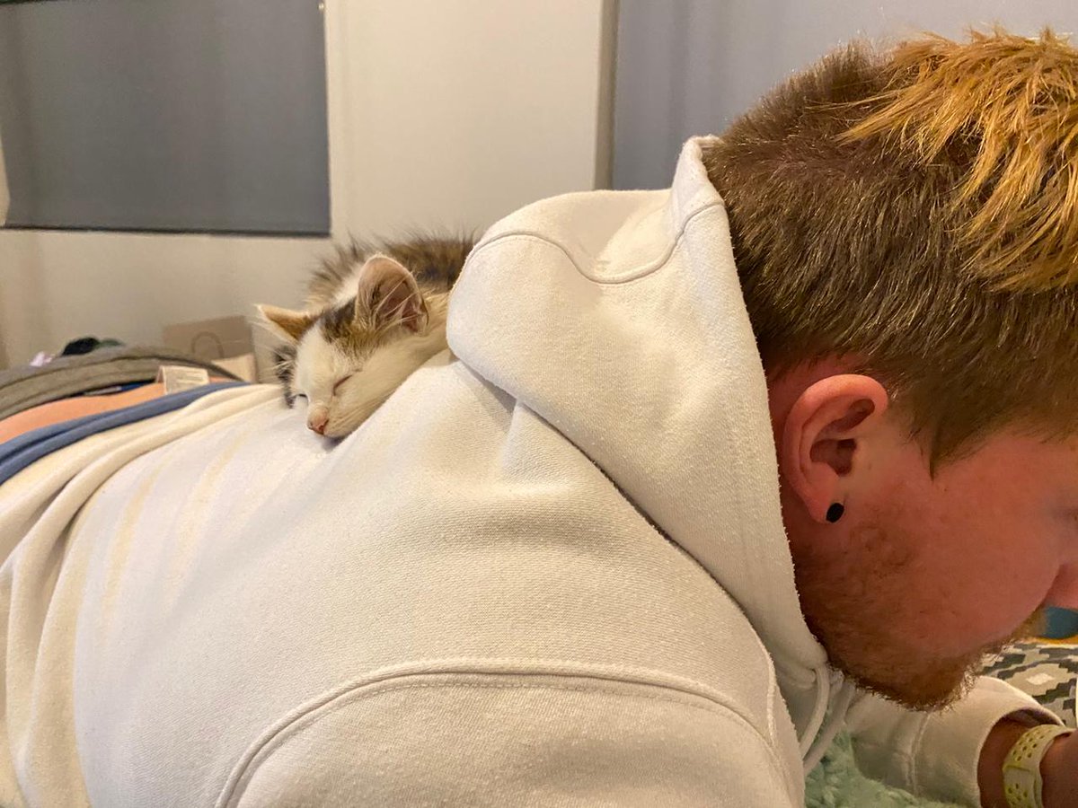 Mr Jack Gibbels the cat.