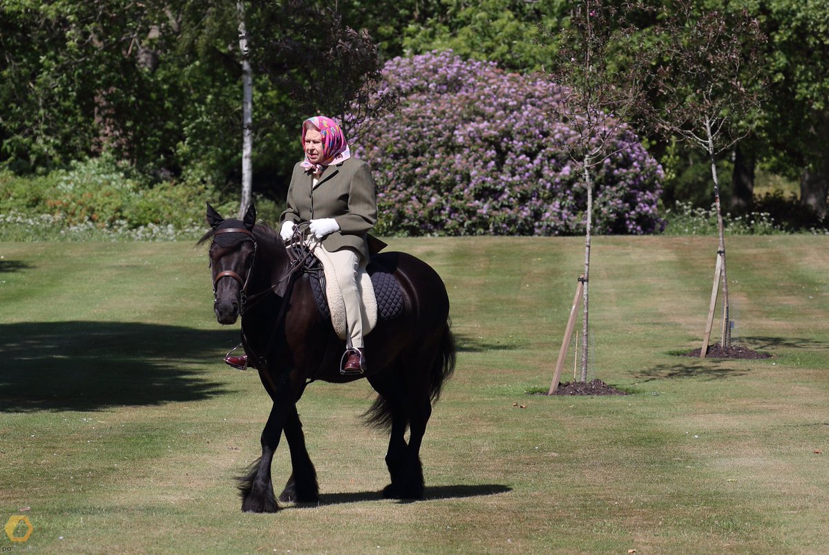 🐴 The Queen is pictured riding Fern - a 14 year old Fell Pony - in Windsor Home Park this weekend. https://t.co/z9DUnW9yB3